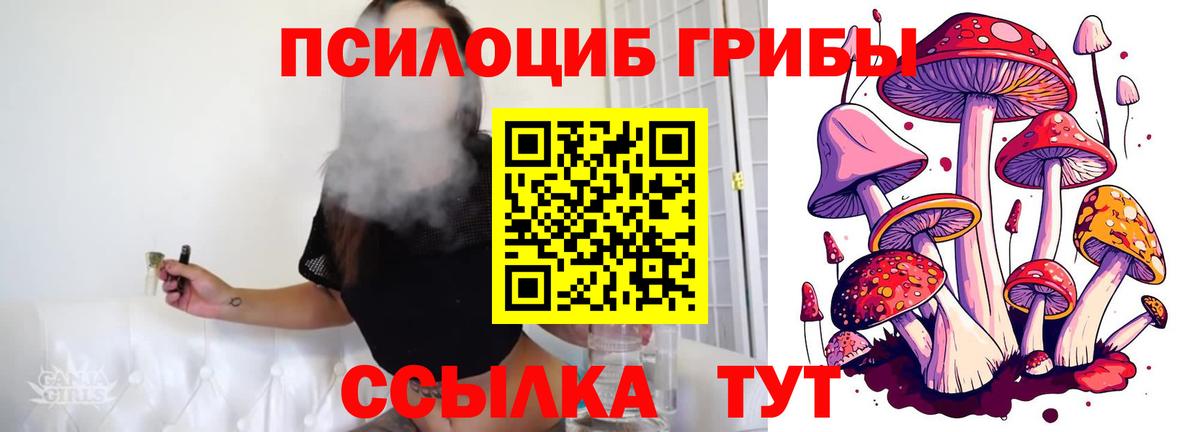 Псилоцибиновые грибы мицелий  Псилоцибиновые грибы мухоморы  Вход с VPN  Ессентуки 